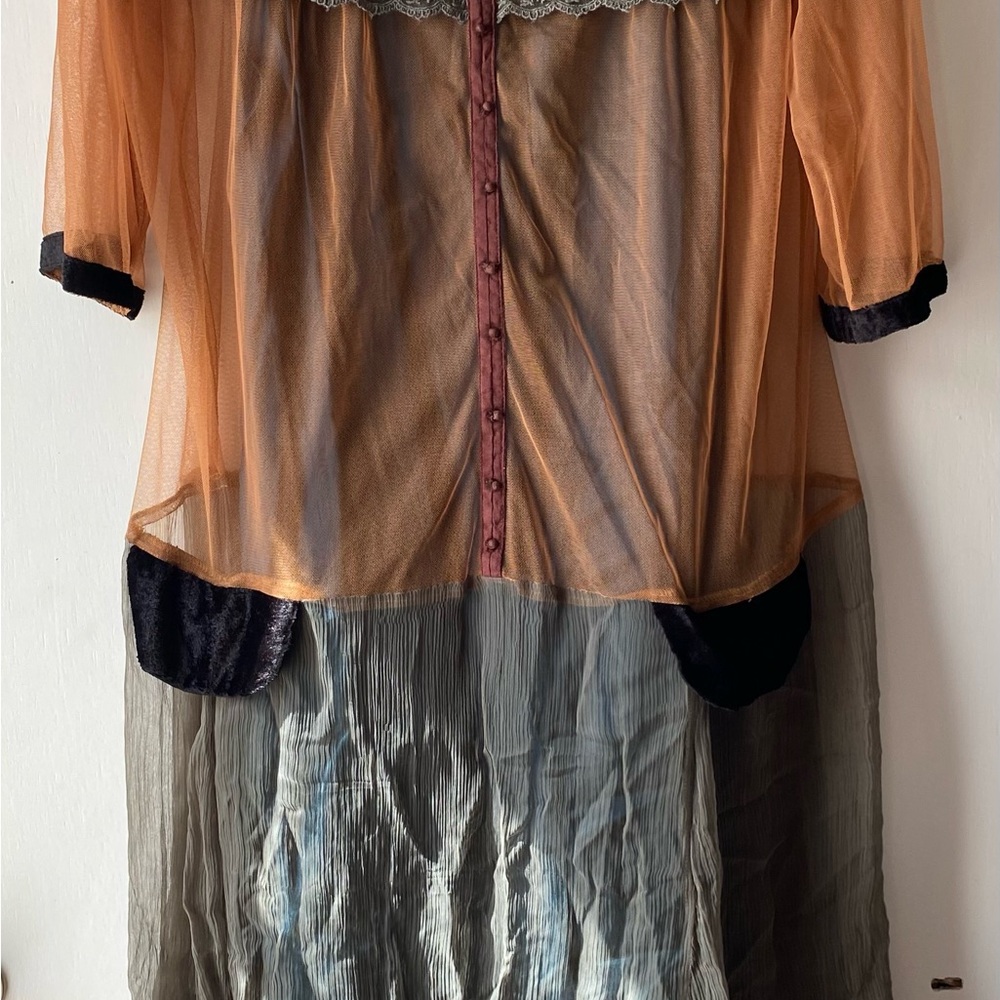 Elegant Sheer Orange and Black Dress
